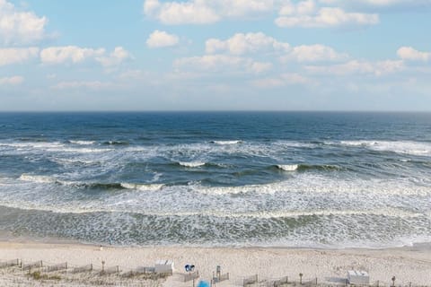 Condo, 2 Bedrooms | Beach | On the beach