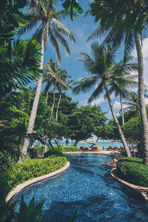 Outdoor pool, open 7:30 AM to 6:00 PM, pool umbrellas, sun loungers