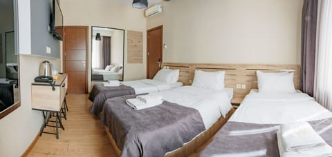 Classic Triple Room, City View | Premium bedding, down comforters, memory foam beds, iron/ironing board
