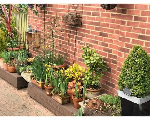 Comfort Apartment, Private Bathroom, Garden View (Queens Rd Rental: 3 Rooms) | Garden