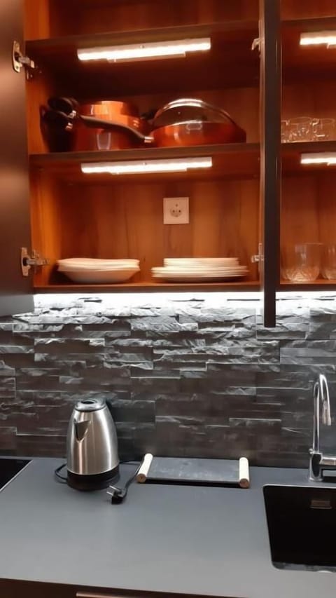 Elite Apartment | Private kitchen | Full-size fridge, stovetop, cookware/dishes/utensils