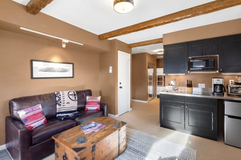 Inviting living room with a well-equipped kitchenette, including a coffee maker, tea kettle, microwave, two-burner electric cooktop, and mini fridge.