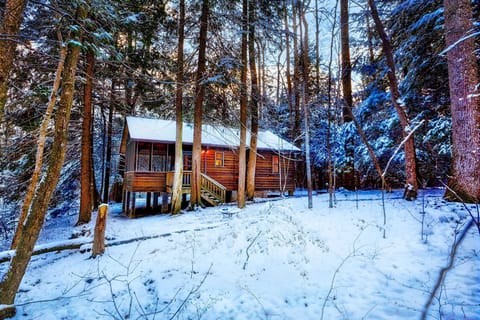 Cabin 1