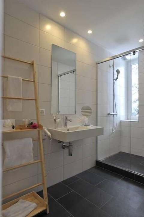Standard Double Room | Bathroom | Free toiletries, hair dryer, bathrobes, slippers