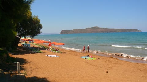 Sun loungers, beach umbrellas, 3 beach bars