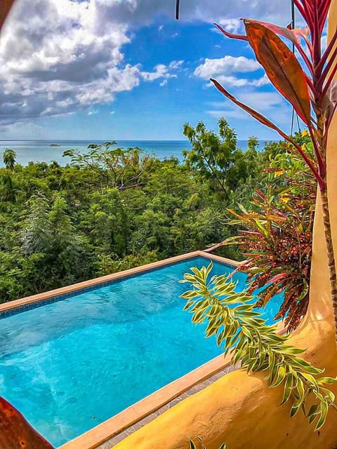 View of pool