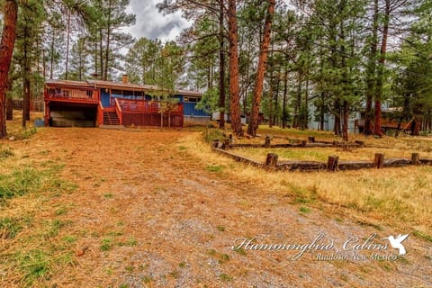 Driveway up to Kirkman Cabin