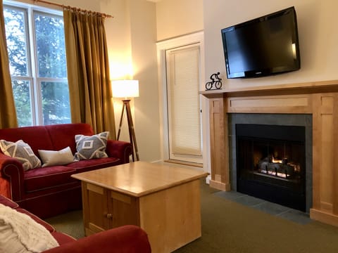 living room with gas fireplace
