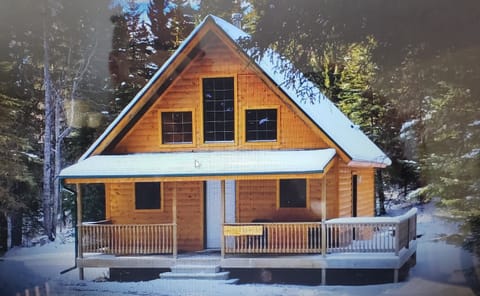 Homesteader Cabin
