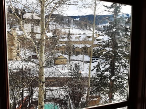 Winter view from Great Room