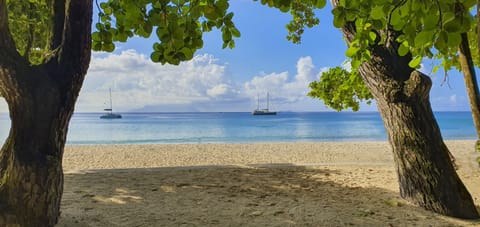 Beach nearby, white sand, sun loungers, beach towels