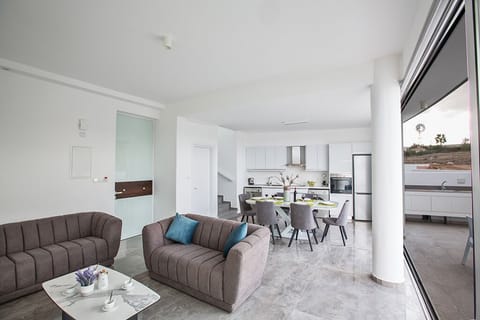 Living room and dining area