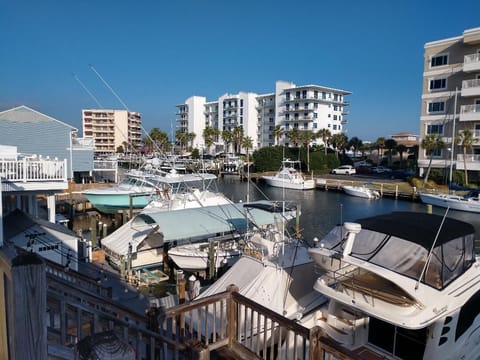 View off back deck for coffee in the morning, suntan in the afternoon.