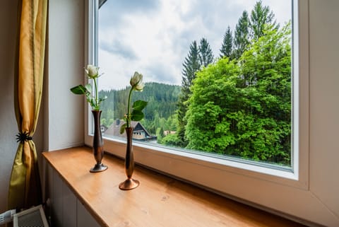 Comfort House | View from room