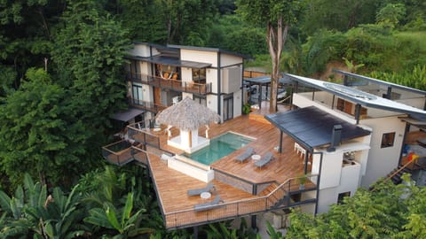 Drone picture of the entire house. 
