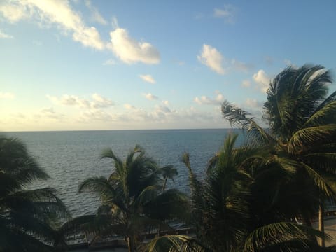 View from the private roof top sundeck of Bermuda Beach A3