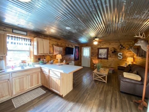 Kitchen & Living Room area