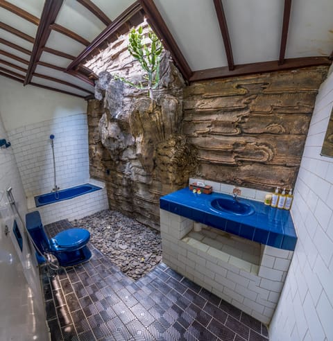 Shower, rainfall showerhead, bidet, towels