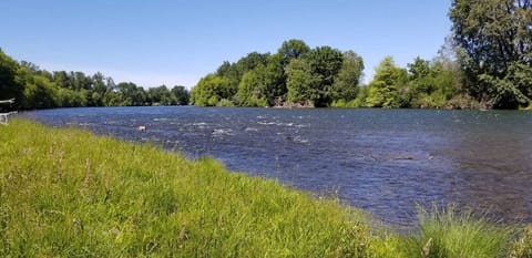 Rogue River view