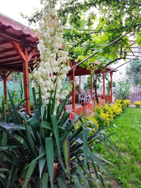 Double Room with Garden View | Garden view
