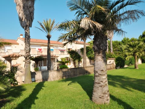 Property, Tree, Palm Tree, Arecales, Building, House, Estate, Real Estate, Home, Hacienda