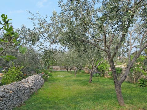 Tree, Natural Landscape, Natural Environment, Woody Plant, Nature Reserve, Plant, Grass, Land Lot, Grass Family, Spring