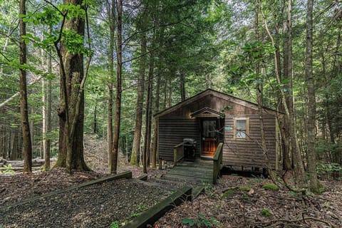 Cabin 3