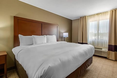 Premium bedding, pillowtop beds, desk, blackout drapes