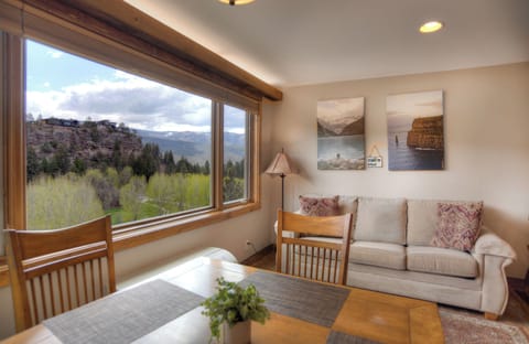 Gorgeous Mountain views from the living room