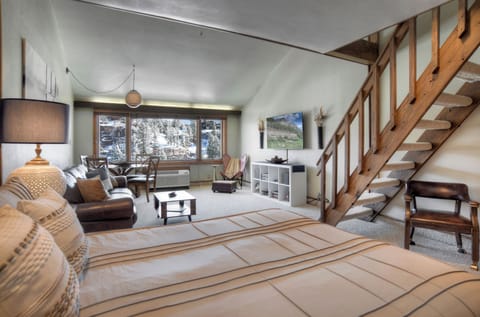 Comfortable Loft Condo with East Facing Views