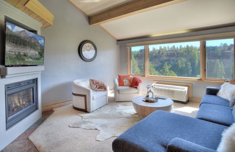 Living Area with Views, Fireplace, Smart TV with DirecTV service