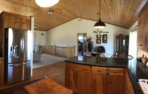 Modern fridge Ice and RO water