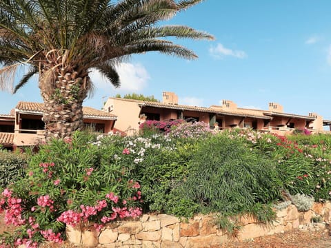 Flower, Sky, Plant, Building, Plant Community, Window, Botany, Cloud, Tree, Vegetation