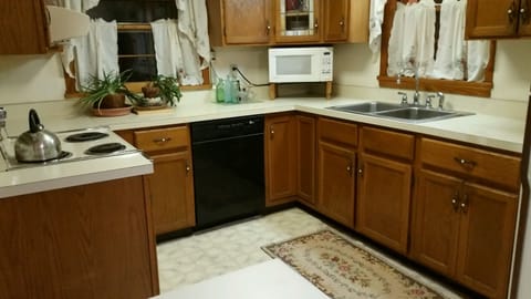 Kitchen electric stove, hood, oven, microwave, refrigerator, dishwasher