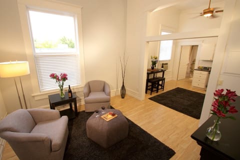 Comfortable living room with fireplace. (1)