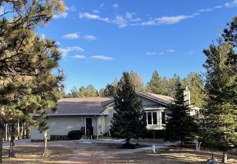 A February day view of the house.