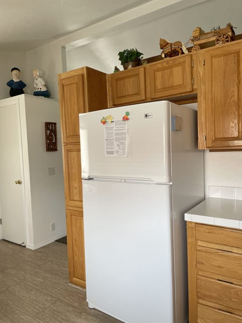 Kitchen Fridge