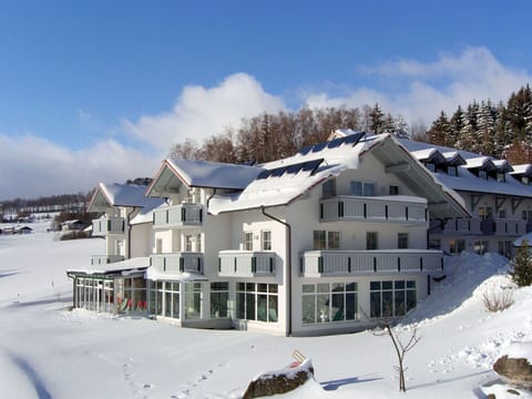 Snow, Winter, Property, Home, House, Sky, Real Estate, Residential Area, Building, Architecture