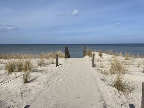 Cloud, Water, Plant, Sky, Ecoregion, Azure, Wood, Beach, Horizon, Natural Landscape