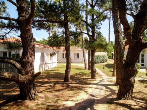 Tree, Property, Woody Plant, Plant, House, Real Estate, Grass, Landscape, Building, Vacation