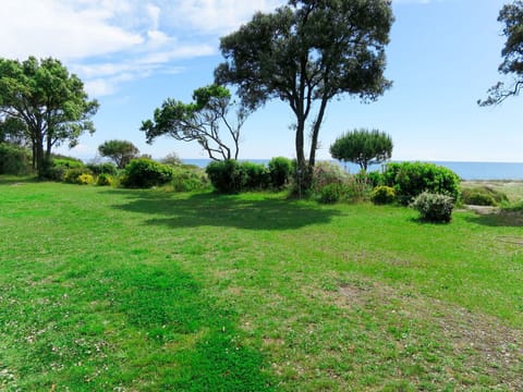 Grassland, Green, Natural Landscape, Vegetation, Grass, Land Lot, Property, Tree, Lawn, Natural Environment