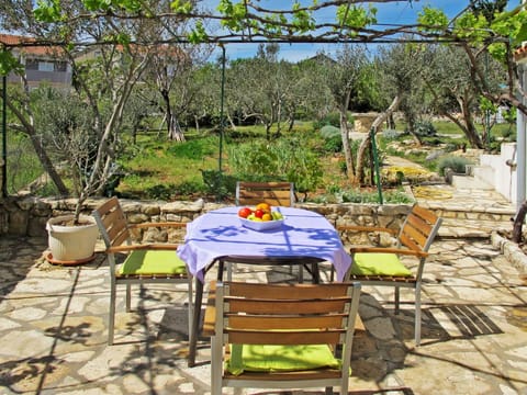 Property, Table, Furniture, Patio, Botany, Backyard, Tree, Garden, Yard, Folding Chair