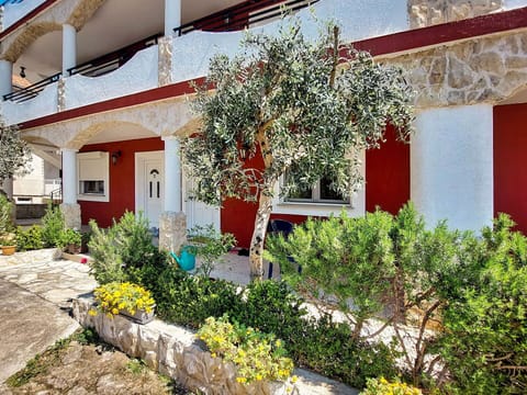 Plant, Building, Window, Flower, Botany, Vegetation, House, Yellow, Neighbourhood, Residential Area