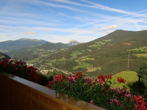 Flower, Cloud, Sky, Plant, Mountain, Property, Slope, Natural Landscape, Tree, Landscape
