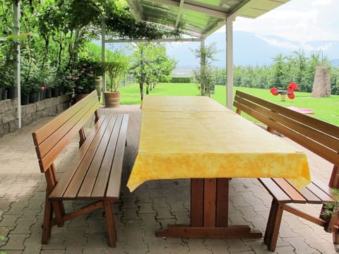 Table, Plant, Property, Furniture, Green, Botany, Tree, Nature, Shade, Wood