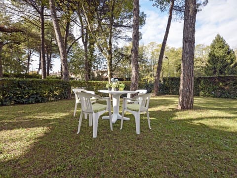 Plant, Table, Property, Furniture, Cloud, Chair, Tree, Natural Landscape, Botany, Branch