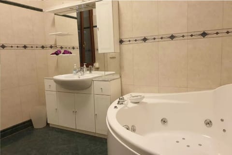 Rainfall showerhead, hair dryer, bidet, towels