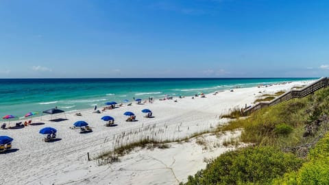 Palms Beach View