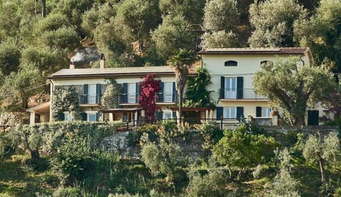 Fantastic House in amazing olive grove setting! Great views & wonderful pool.