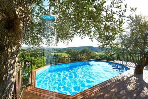 Fabulous salt water swimming pool with unique olive tree shower !